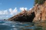 VI05 - 107 * Brown Booby.